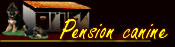 pension canine dans le vaucluse